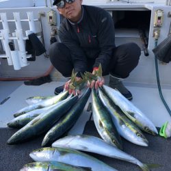 ビッグファイター 釣果