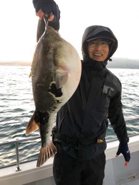 ビッグファイター 釣果