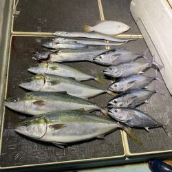 Monster Rush! 釣果