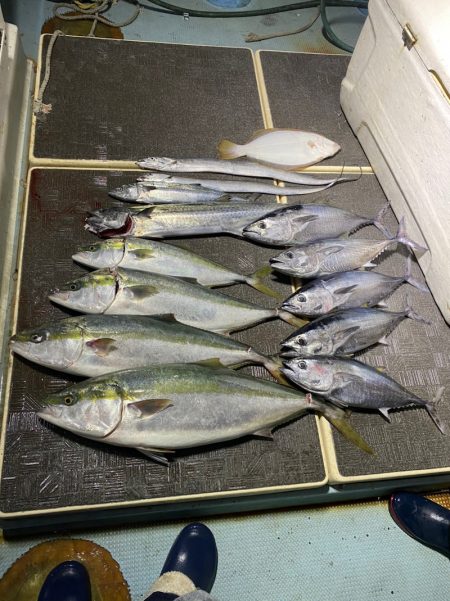 Monster Rush! 釣果