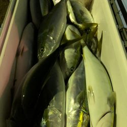 第二八坂丸 釣果