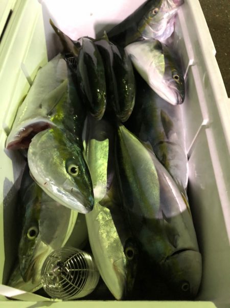 第二八坂丸 釣果