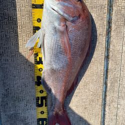 龍神丸（鹿児島） 釣果