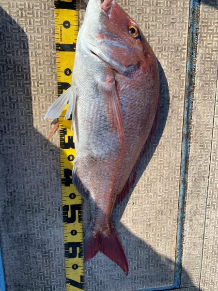 龍神丸（鹿児島） 釣果