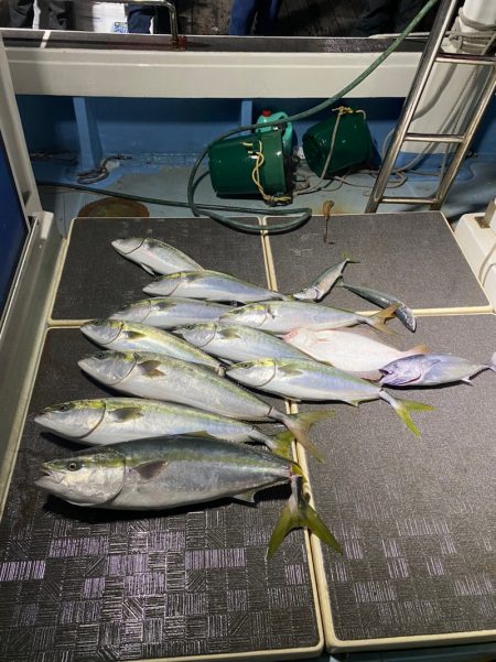 Monster Rush! 釣果