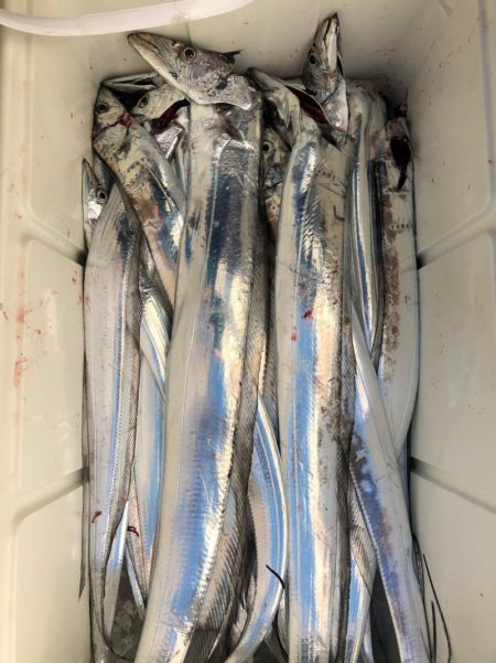 フィッシング キッタカ 釣果