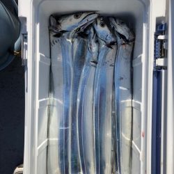 フィッシング キッタカ 釣果