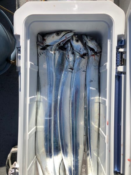 フィッシング キッタカ 釣果