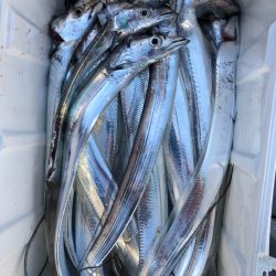 フィッシング キッタカ 釣果