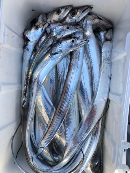 フィッシング キッタカ 釣果