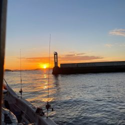 ランスルー 釣果