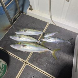 Monster Rush! 釣果