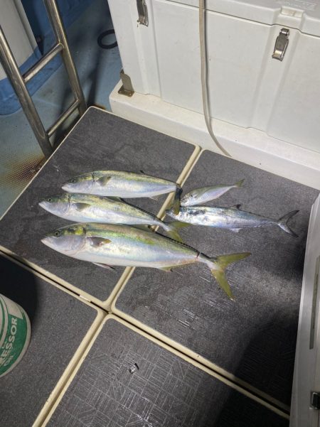 Monster Rush! 釣果