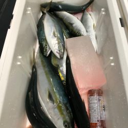 第二八坂丸 釣果