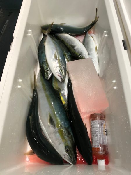 第二八坂丸 釣果