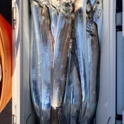 フィッシング　キッタカ 釣果