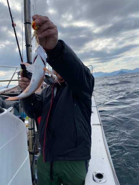 あみや渡船 JIGBOY 釣果