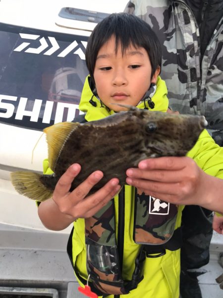 遊漁船メテオ 釣果