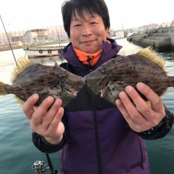 遊漁船メテオ 釣果