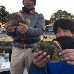 遊漁船メテオ 釣果