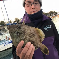 遊漁船メテオ 釣果