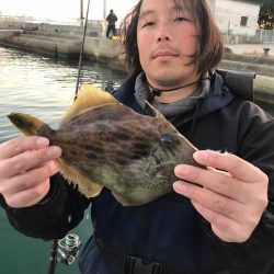 遊漁船メテオ 釣果