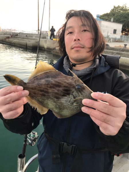 遊漁船メテオ 釣果
