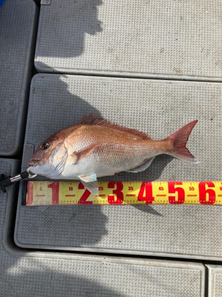 遊漁船高橋 釣果