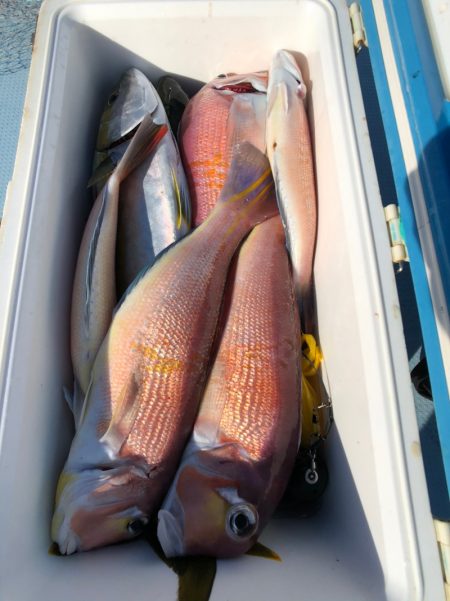 第二八坂丸 釣果