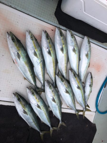 エムズジャーク（M's JERK…