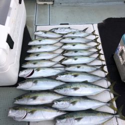 エムズジャーク(M’s JERK) 釣果