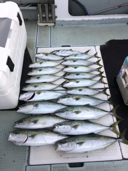 エムズジャーク(M’s JERK) 釣果