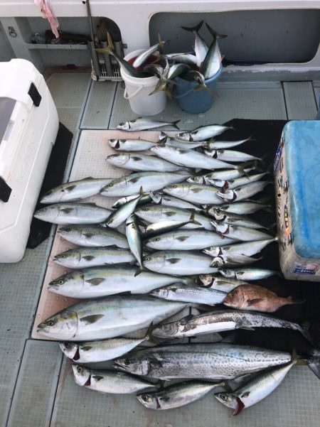 エムズジャーク(M’s JERK) 釣果