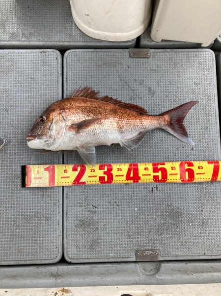遊漁船高橋 釣果