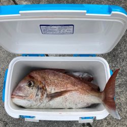 遊漁船高橋 釣果