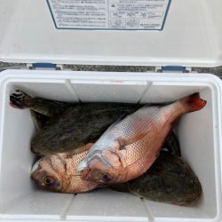 遊漁船高橋 釣果