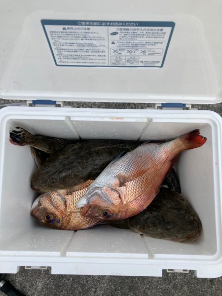 遊漁船高橋 釣果