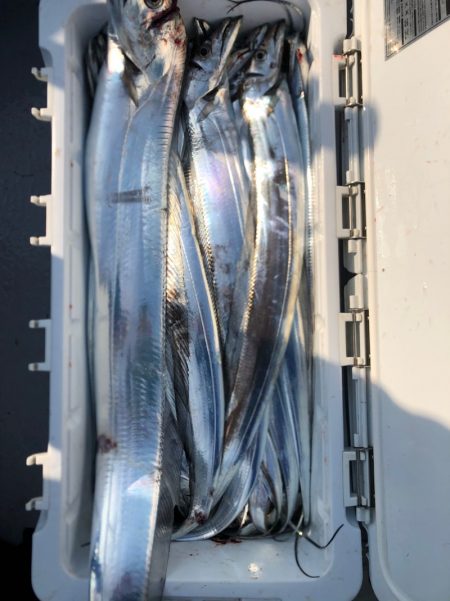 フィッシング キッタカ 釣果