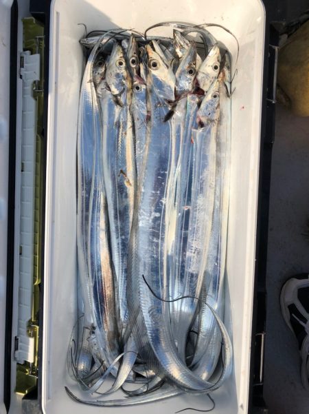 フィッシング キッタカ 釣果