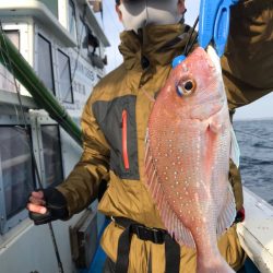 太平丸 釣果