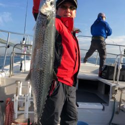 ビッグファイター 釣果