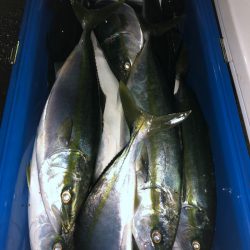 第二八坂丸 釣果