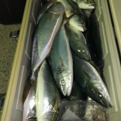 第二八坂丸 釣果