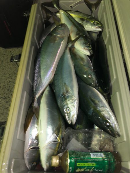 第二八坂丸 釣果