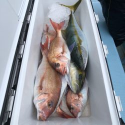 第二八坂丸 釣果