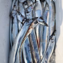 フィッシング キッタカ 釣果