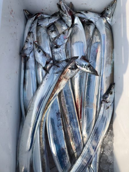 フィッシング キッタカ 釣果