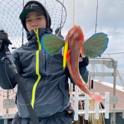 あみや渡船 JIGBOY 釣果