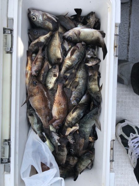 フィッシング　キッタカ 釣果