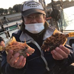 遊漁船メテオ 釣果